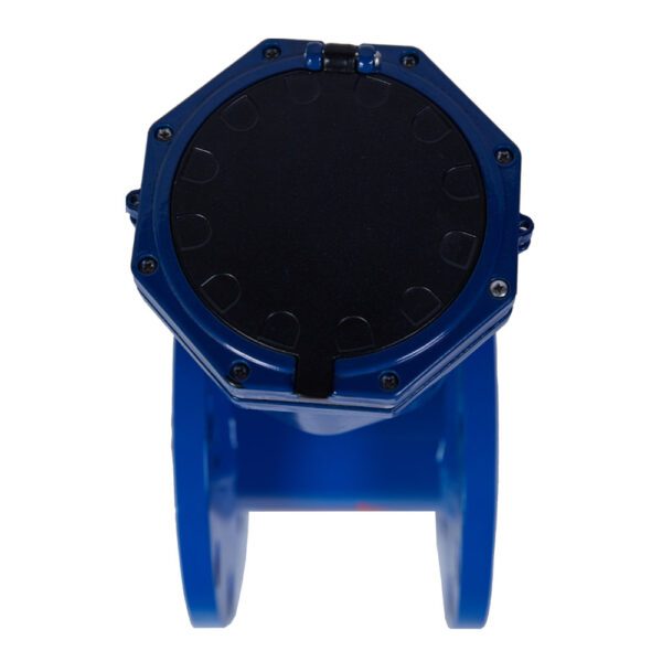 Digital Ultrasonic Flow Meter